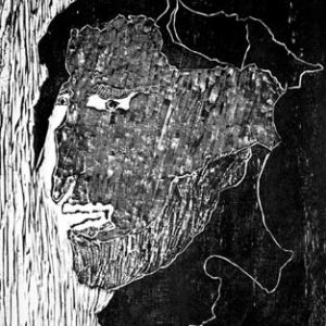 O pensamento humano